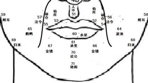 鼻子挺面相|麦玲玲面相讲座之 鼻子 – 人相学